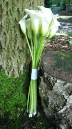 Buchet de mireasa si cocarda mire